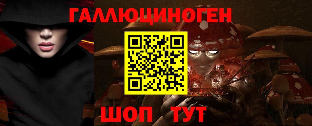 Псилоцибиновые грибы Cubensis  Вход с VPN  Псилоцибиновые грибы прущие грибы  Вязники 